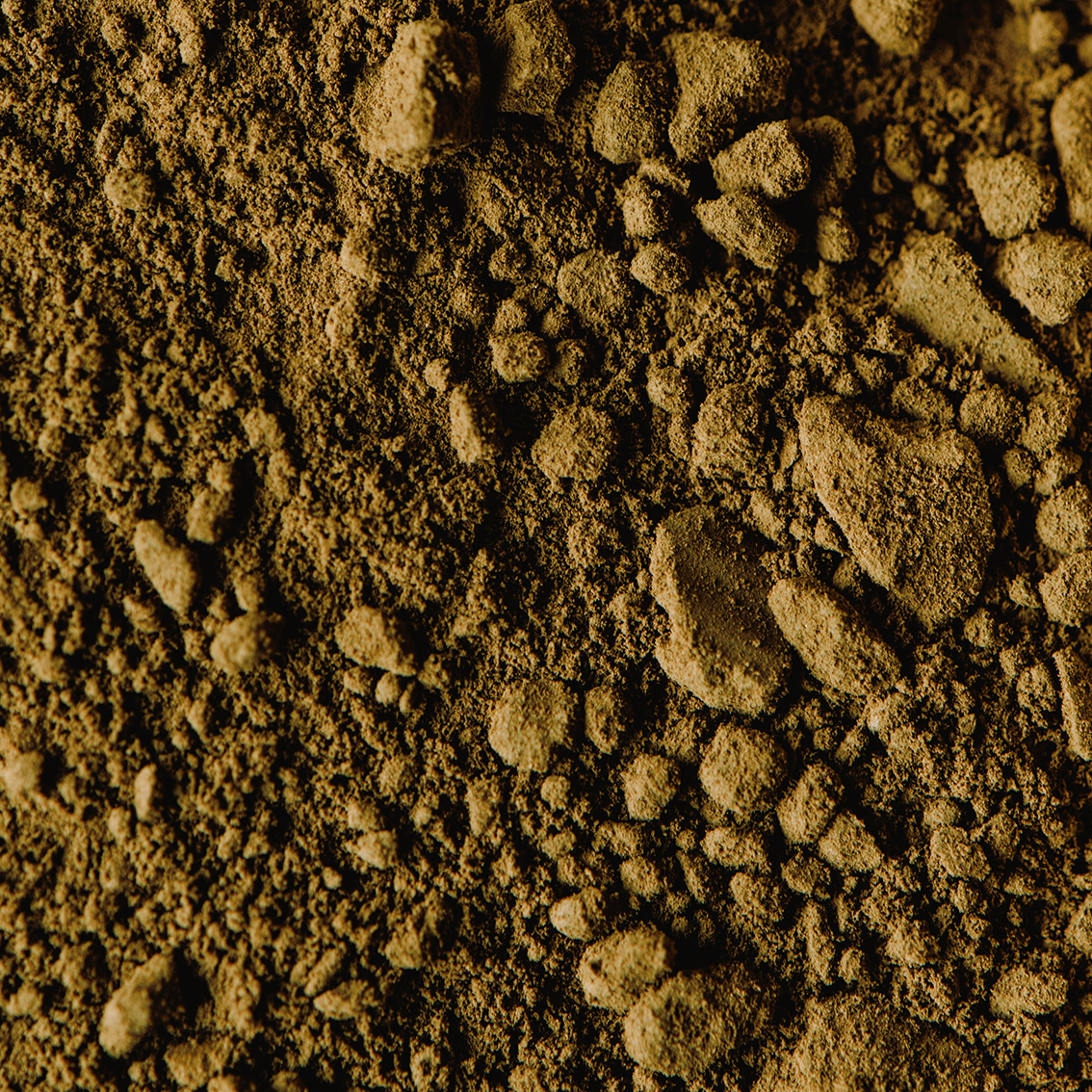 HOJICHA